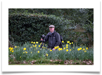 13 - Daffodil Lament by The Cranberries - Chris Beesley